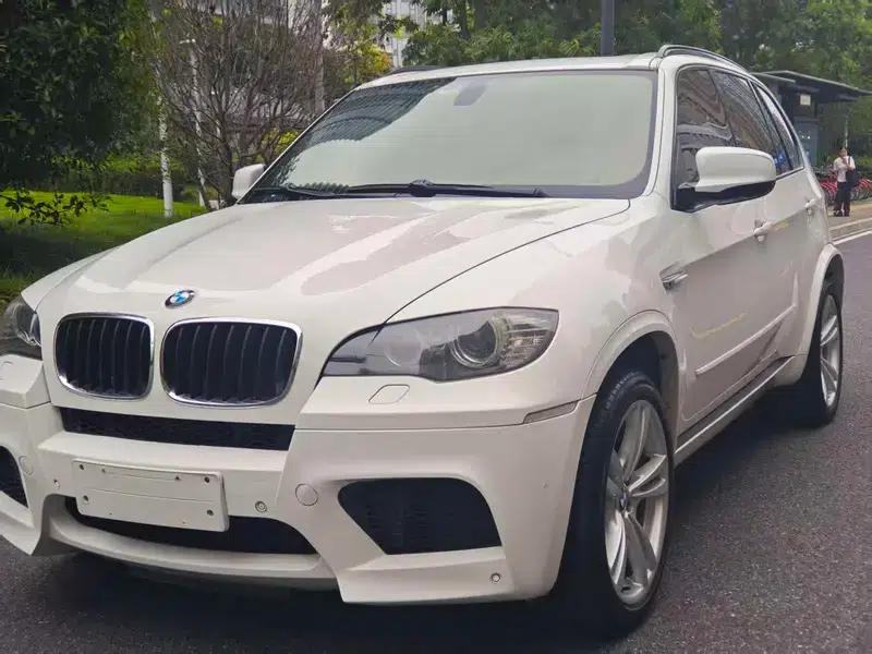 2010 BMW X5 M — миниатюра 1