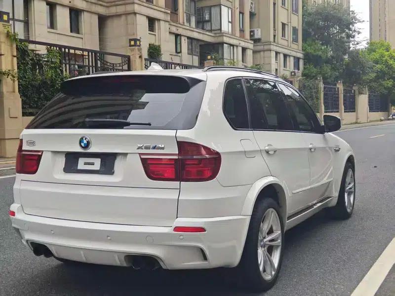 2010 BMW X5 M — миниатюра 6