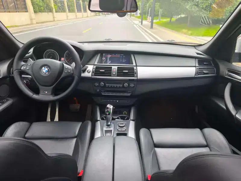 2010 BMW X5 M — миниатюра 8
