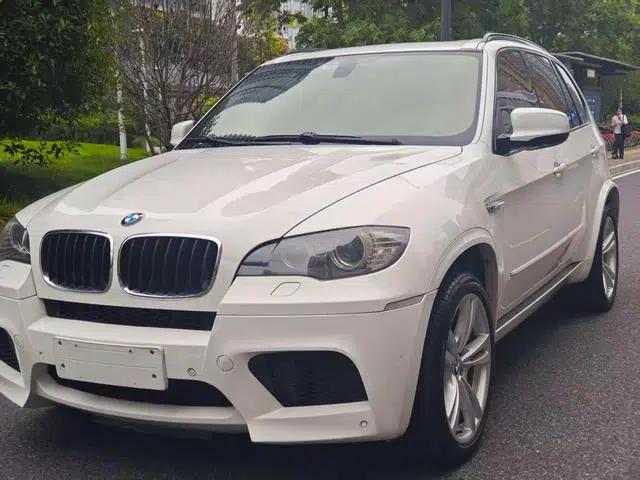 2010 BMW X5 M