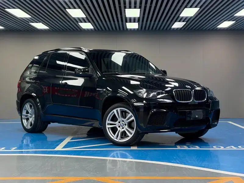 2010 BMW X5 M — миниатюра 3