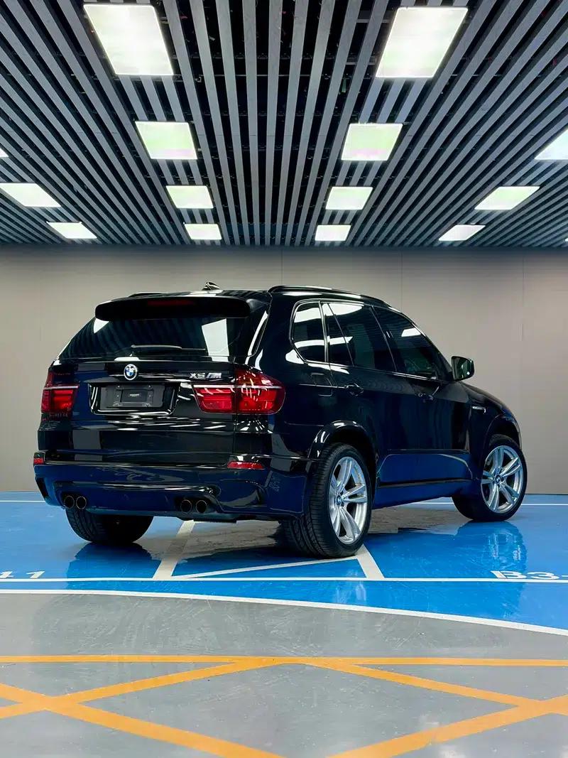 2010 BMW X5 M — миниатюра 6