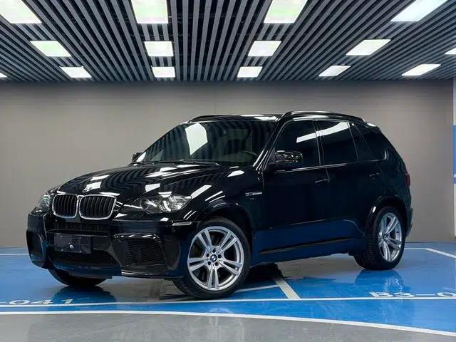 2010 BMW X5 M