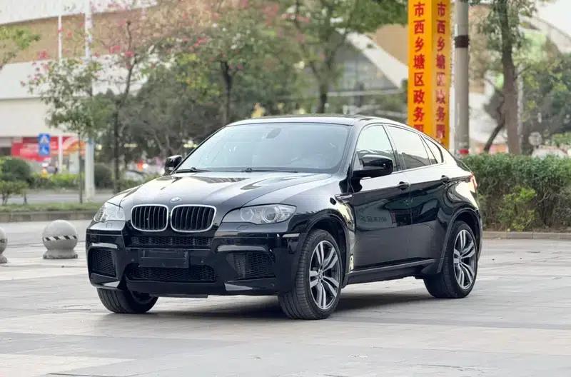 2010 BMW X6 M — миниатюра 1