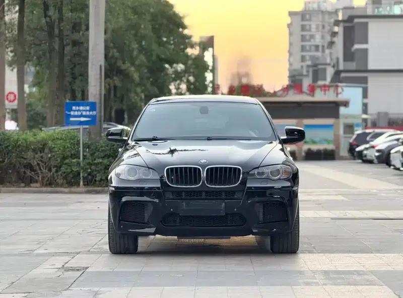 2010 BMW X6 M — миниатюра 2
