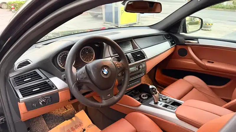 2010 BMW X6 M — миниатюра 14