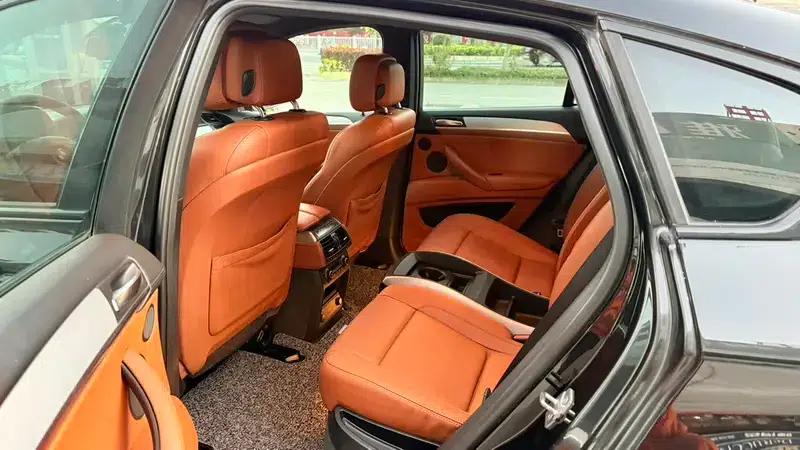2010 BMW X6 M — миниатюра 17