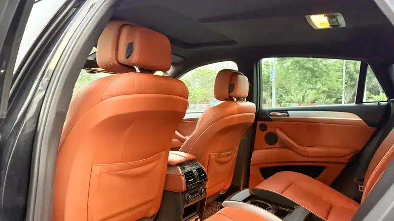 2010 BMW X6 M — миниатюра 20