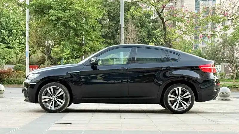 2010 BMW X6 M — миниатюра 3