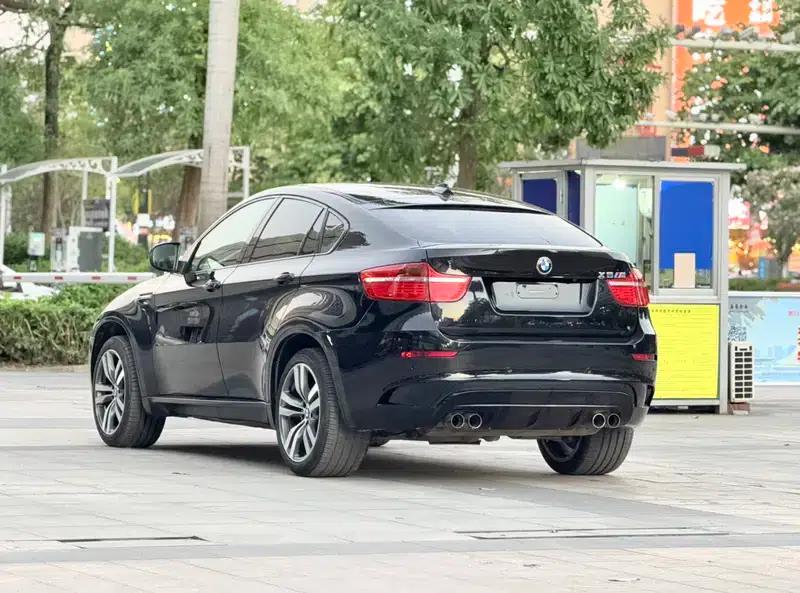 2010 BMW X6 M — миниатюра 4