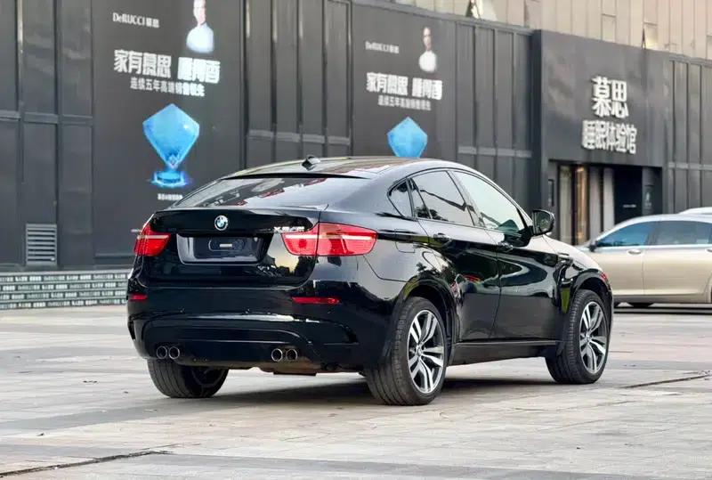 2010 BMW X6 M — миниатюра 6