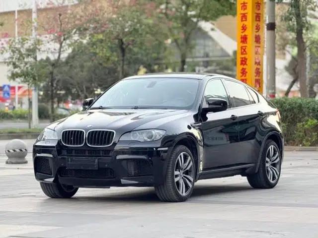 2010 BMW X6 M