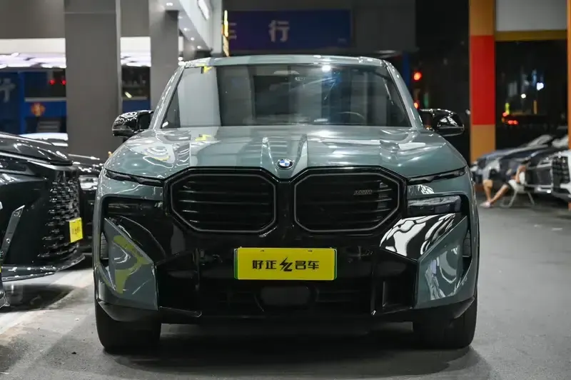 BMW XM 2023 4.4T Standard Edition — миниатюра 2