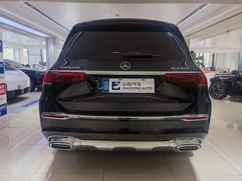2021 Maybach GLS 600 4MATIC Elegance Edition — миниатюра 5