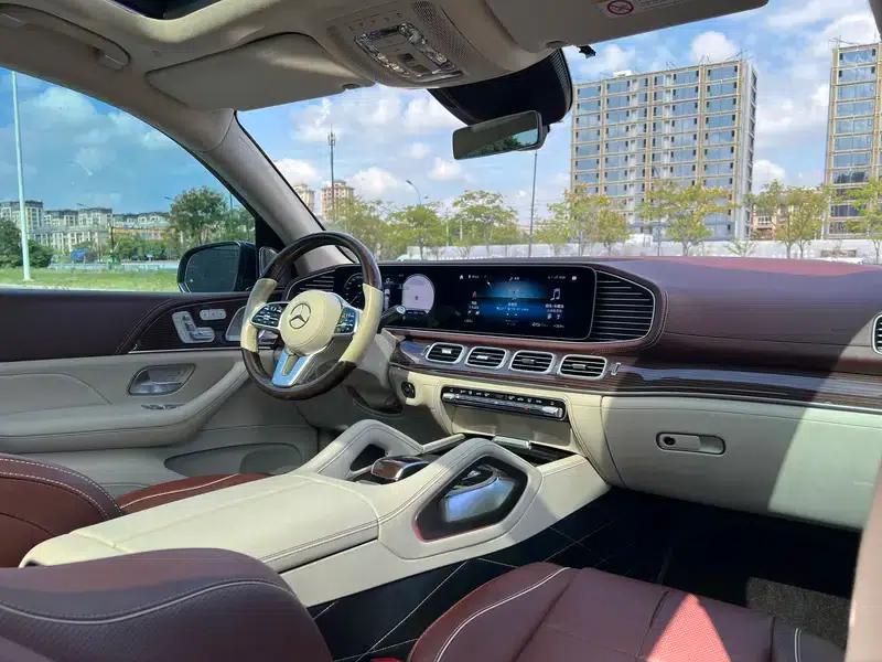 2021 Maybach GLS 600 4MATIC Elegance Edition — миниатюра 16