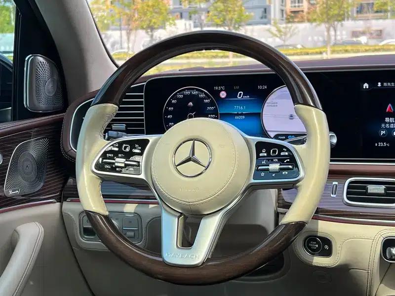 2021 Maybach GLS 600 4MATIC Elegance Edition — миниатюра 18