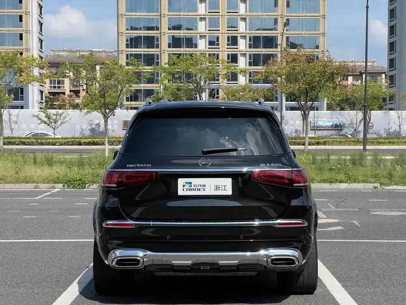 2021 Maybach GLS 600 4MATIC Elegance Edition — миниатюра 5