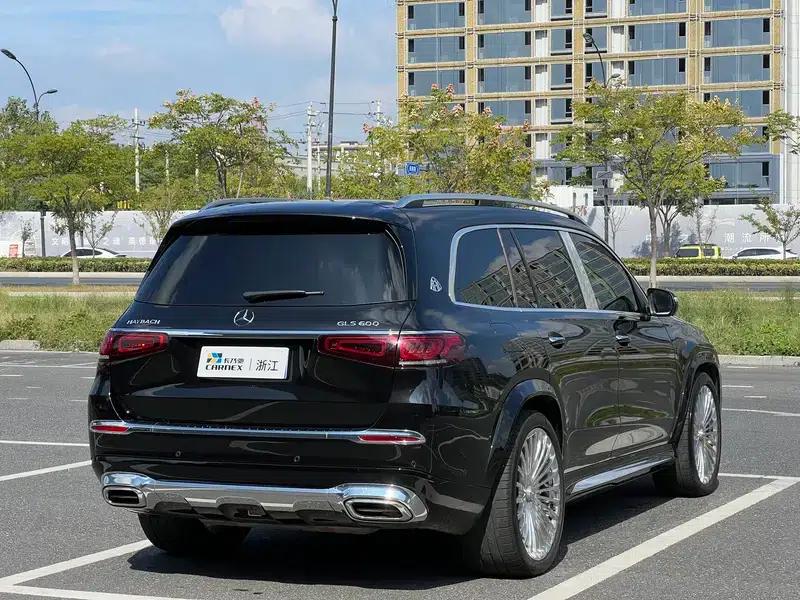 2021 Maybach GLS 600 4MATIC Elegance Edition — миниатюра 6