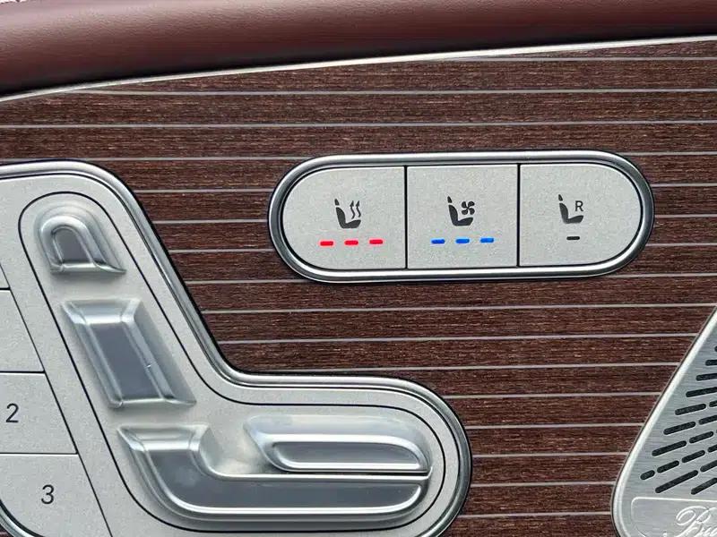 2021 Maybach GLS 600 4MATIC Elegance Edition — миниатюра 9