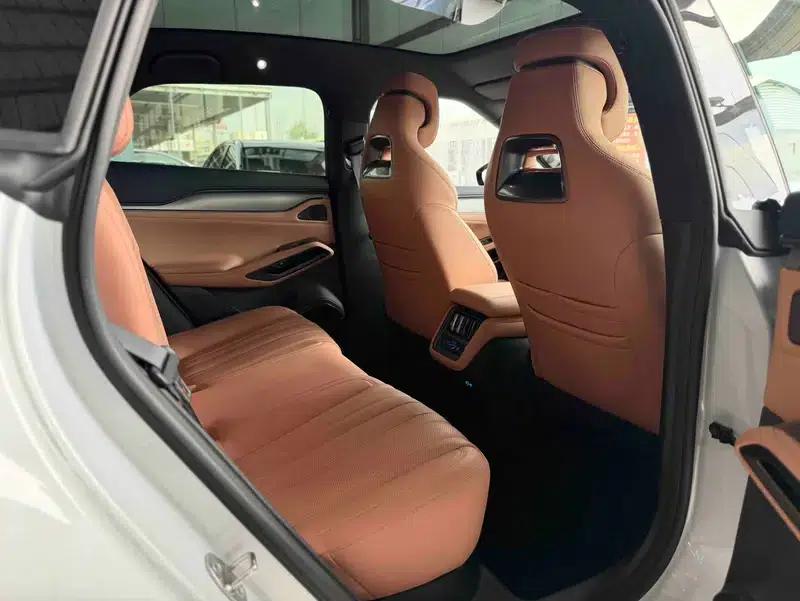 Song L EV 2025 550KM Excellent Edition — миниатюра 20