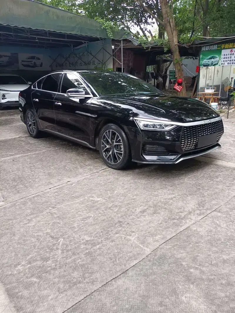 BYD e9 2022 Business Edition — миниатюра 2