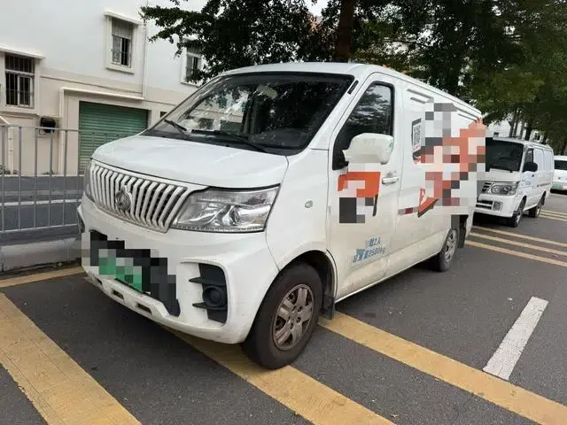 Ruixing EM60 2019 Pure Electric Van with Flat Top and Hatchback Door