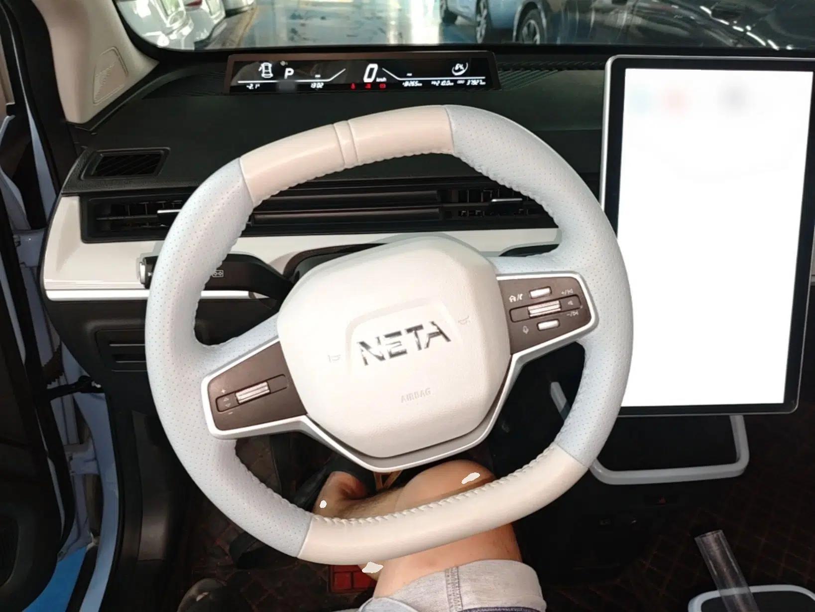 NETA AYA 2023 Revised Version 401 Lite — миниатюра 13