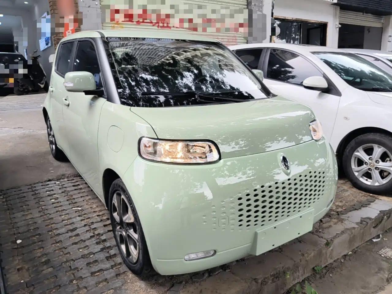 ORA White Cat 2022 Upgraded Model 305km Range Luxury Version Lithium Iron Phosphate — миниатюра 3