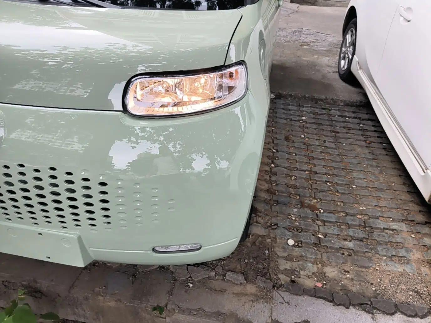 ORA White Cat 2022 Upgraded Model 305km Range Luxury Version Lithium Iron Phosphate — миниатюра 8