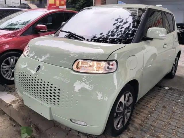ORA White Cat 2022 Upgraded Model 305km Range Luxury Version Lithium Iron Phosphate