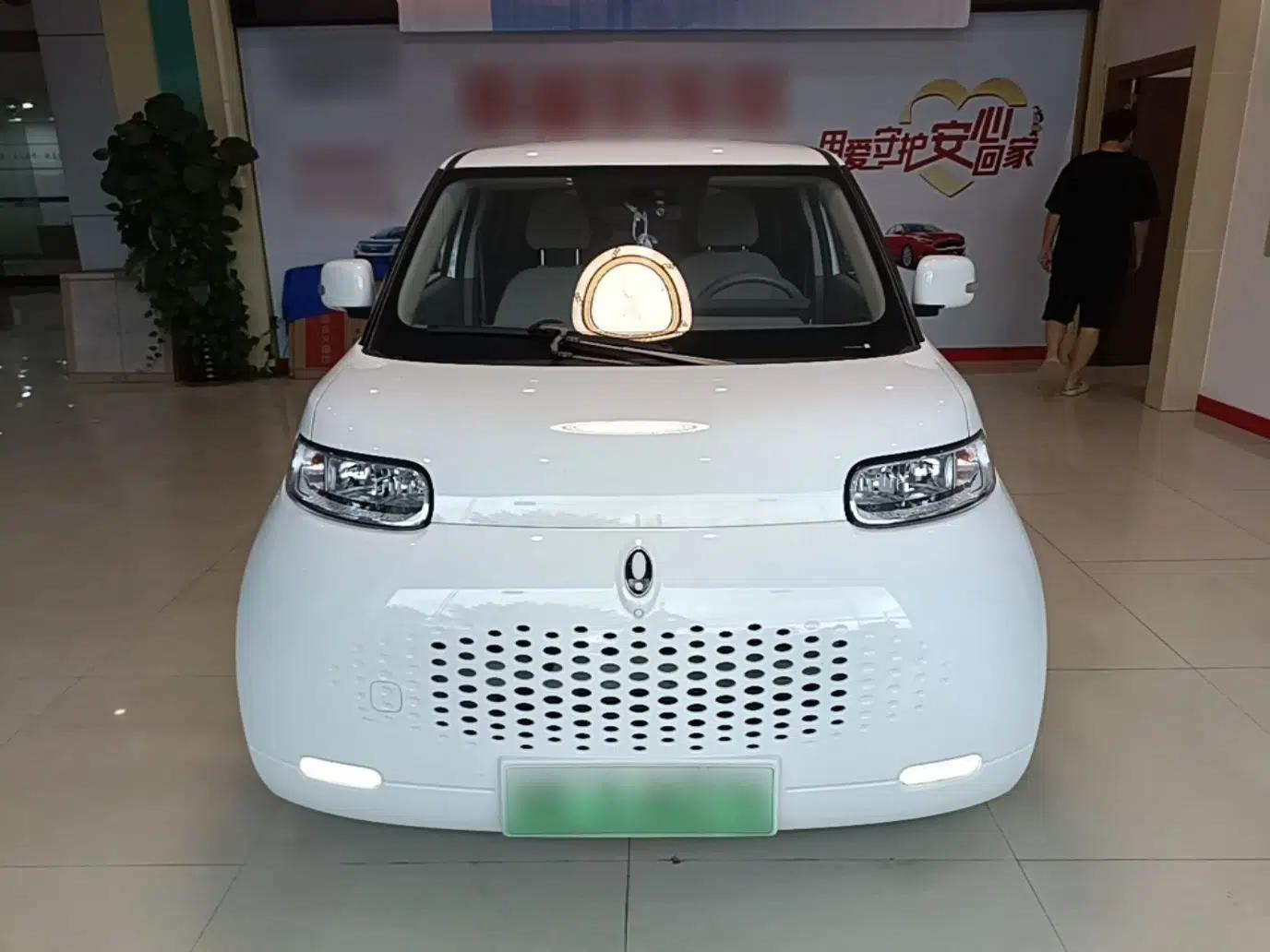 ORA White Cat 2022 Upgraded Model 305km Range Luxury Version Lithium-Ion Battery — миниатюра 2