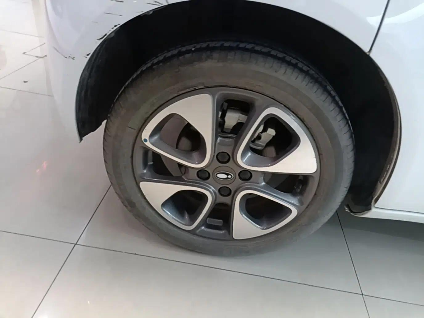 ORA White Cat 2022 Upgraded Model 305km Range Luxury Version Lithium-Ion Battery — миниатюра 11