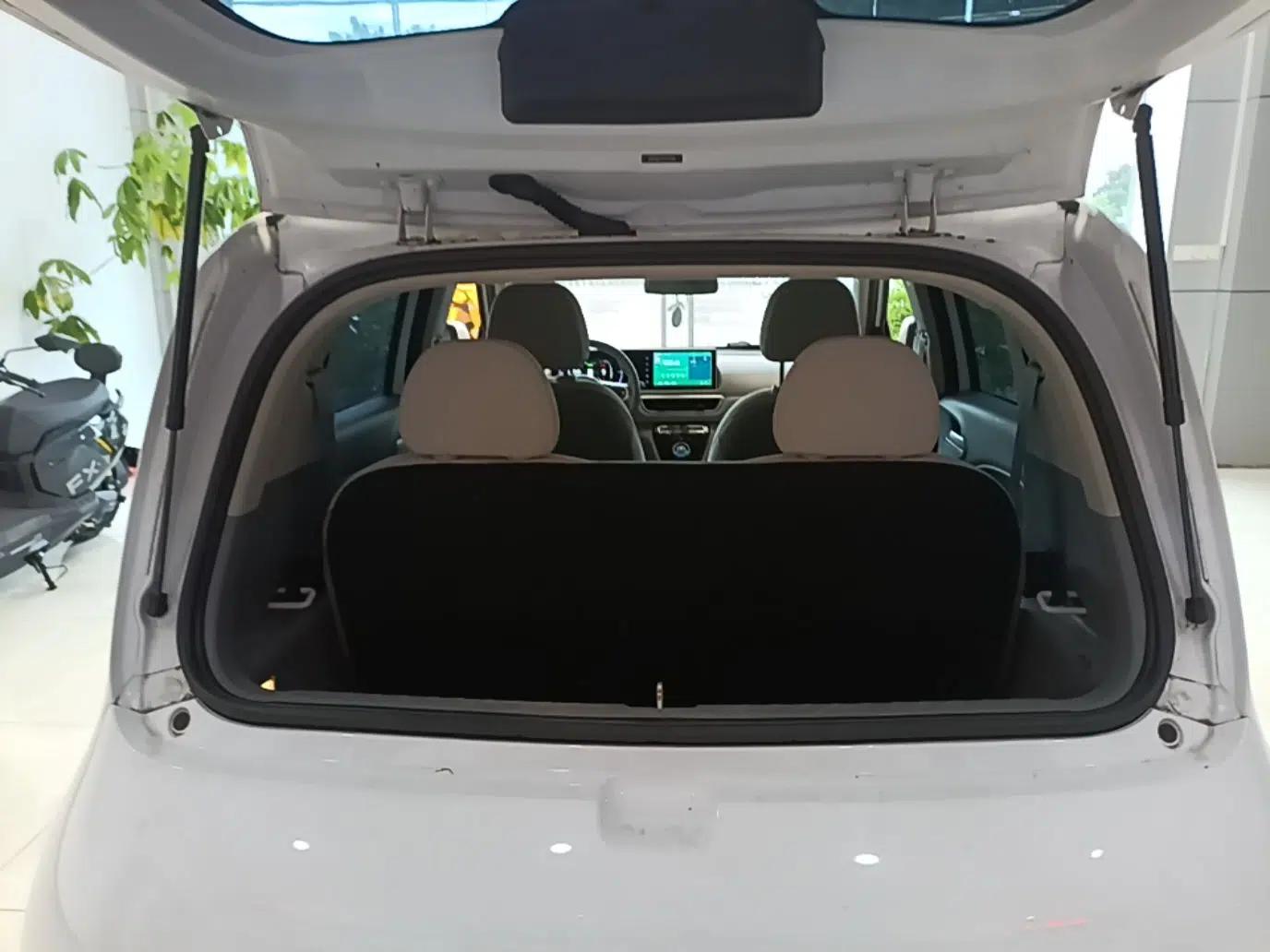 ORA White Cat 2022 Upgraded Model 305km Range Luxury Version Lithium-Ion Battery — миниатюра 22