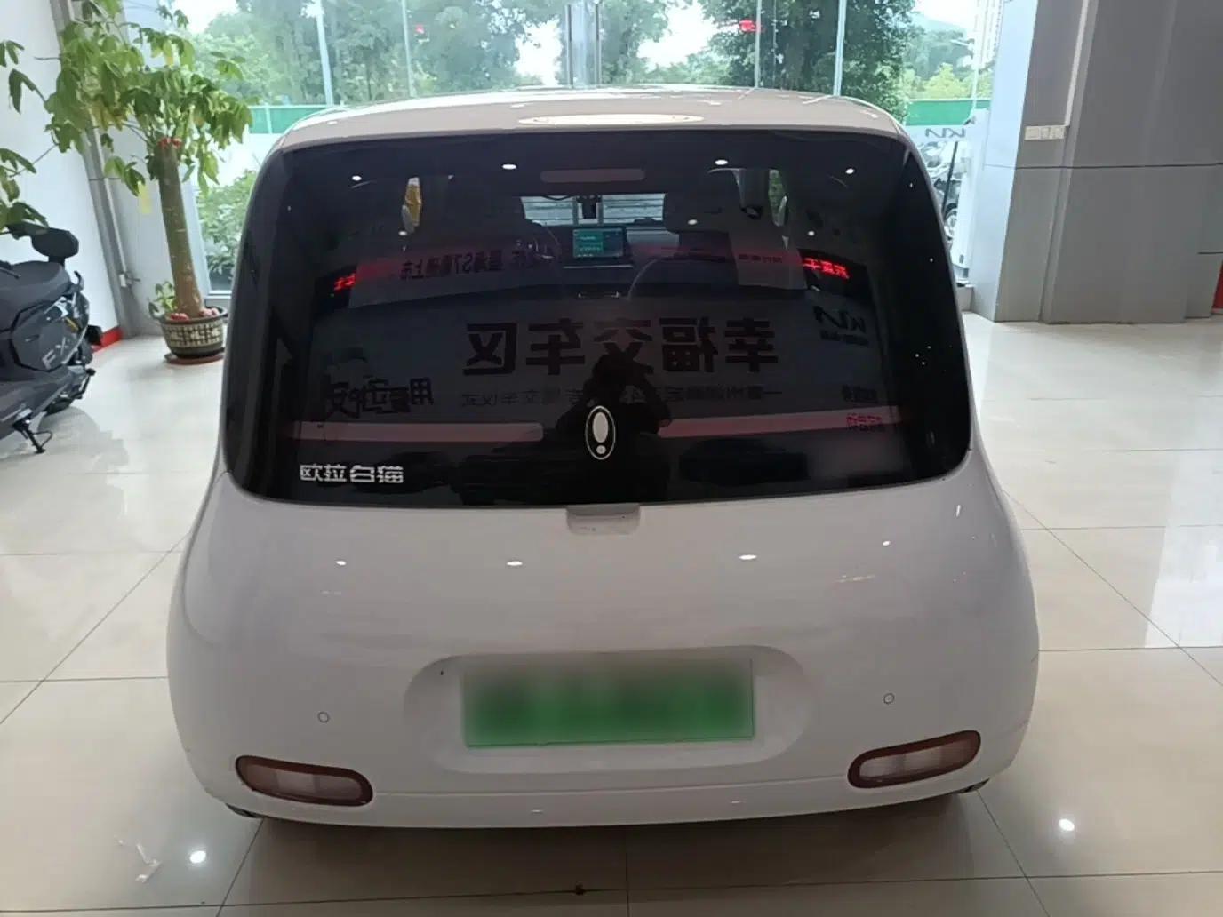 ORA White Cat 2022 Upgraded Model 305km Range Luxury Version Lithium-Ion Battery — миниатюра 5