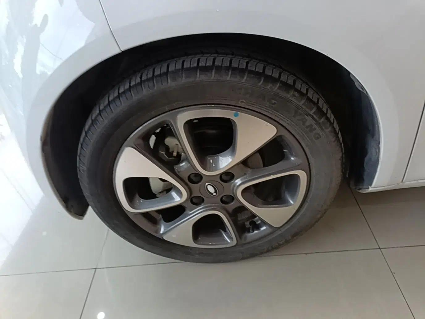 ORA White Cat 2022 Upgraded Model 305km Range Luxury Version Lithium-Ion Battery — миниатюра 10