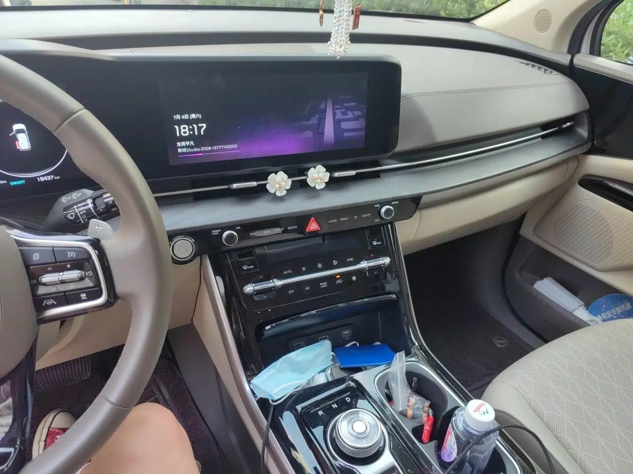 Kia Carnival 2021 2.0T Luxury Tech Edition — миниатюра 13