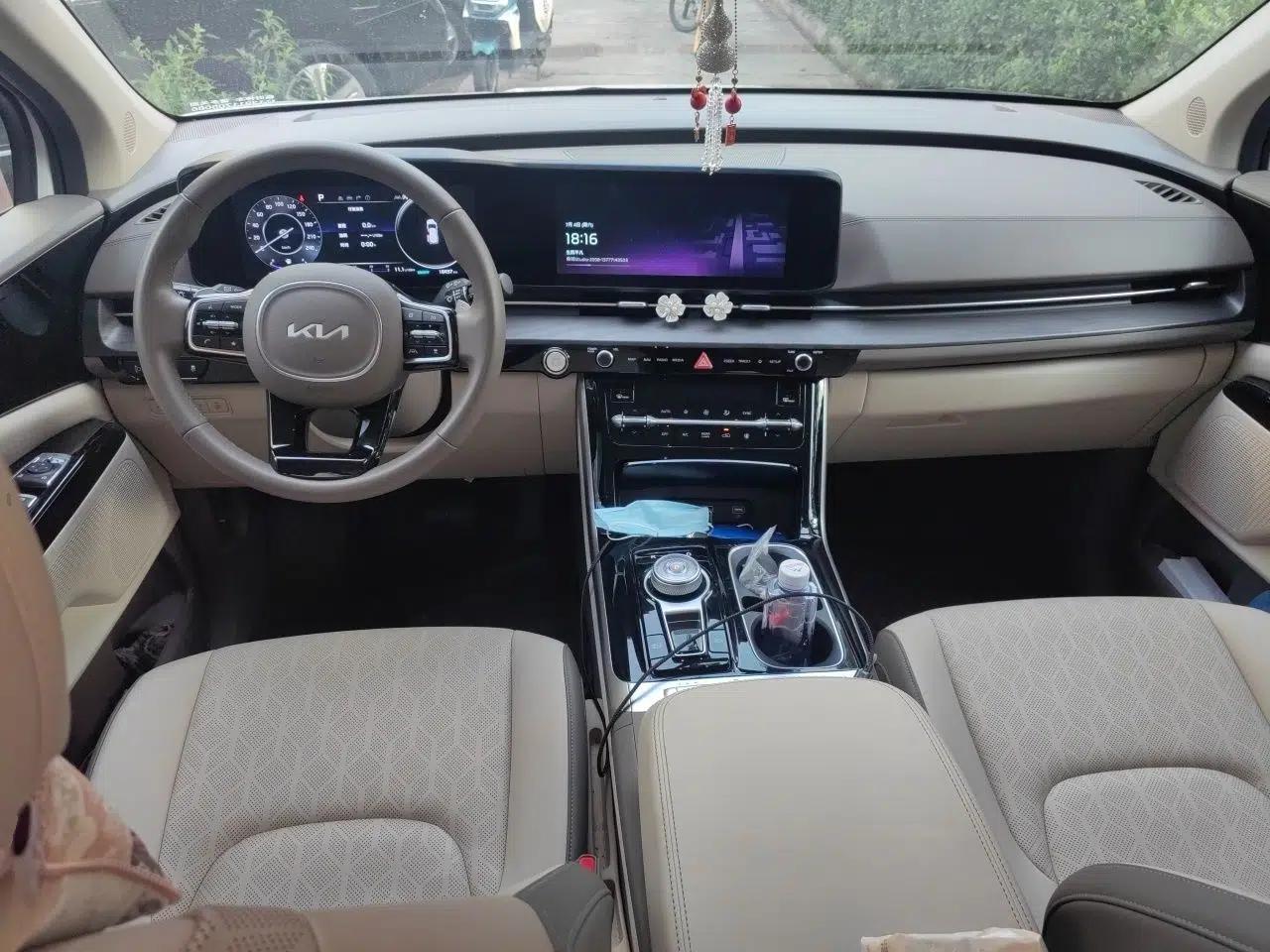Kia Carnival 2021 2.0T Luxury Tech Edition — миниатюра 9