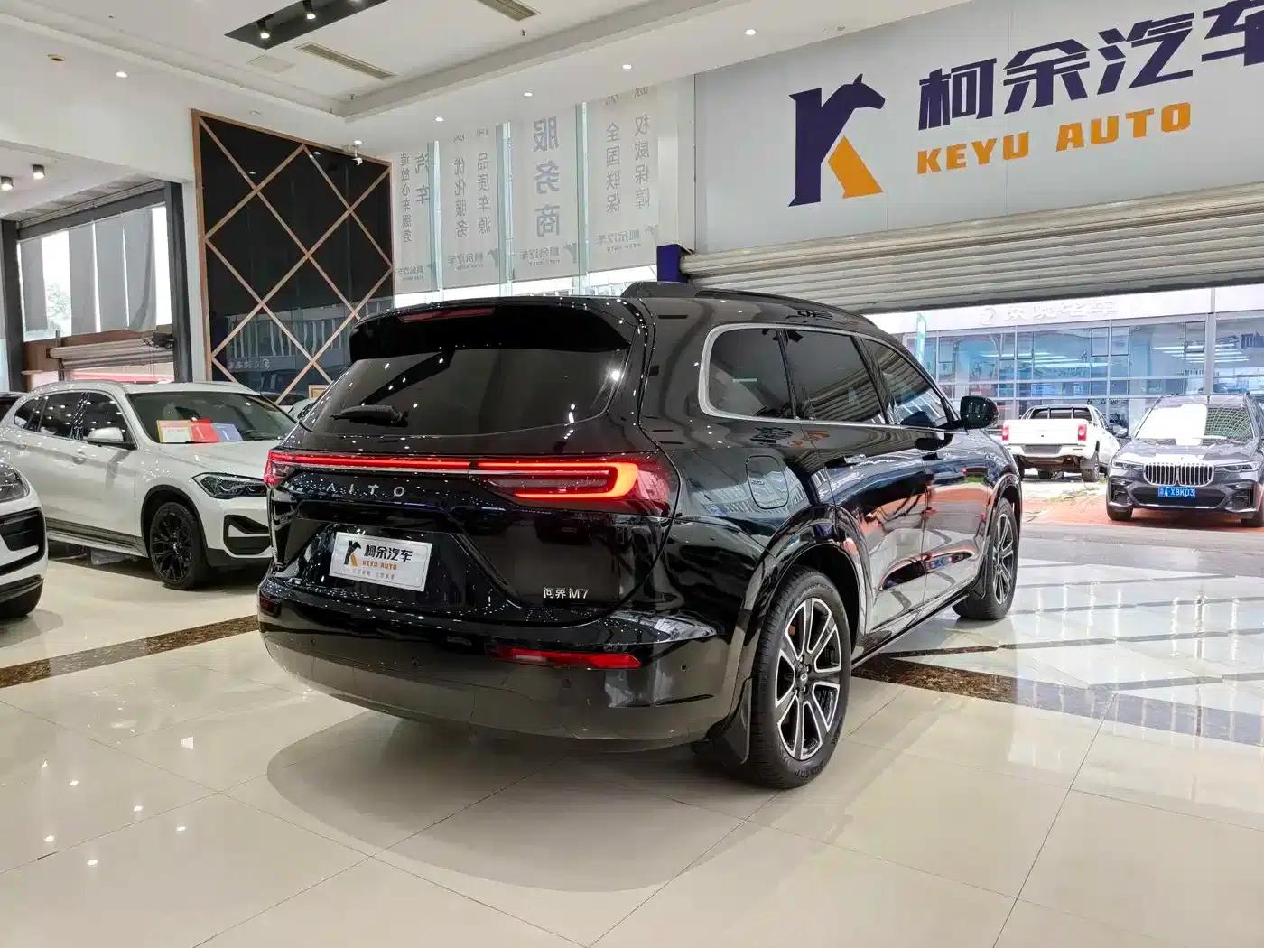 Wenjie M7 2024 1.5T Intelligent Driving Rear-Wheel Drive Pro Edition 6-Seater — миниатюра 17