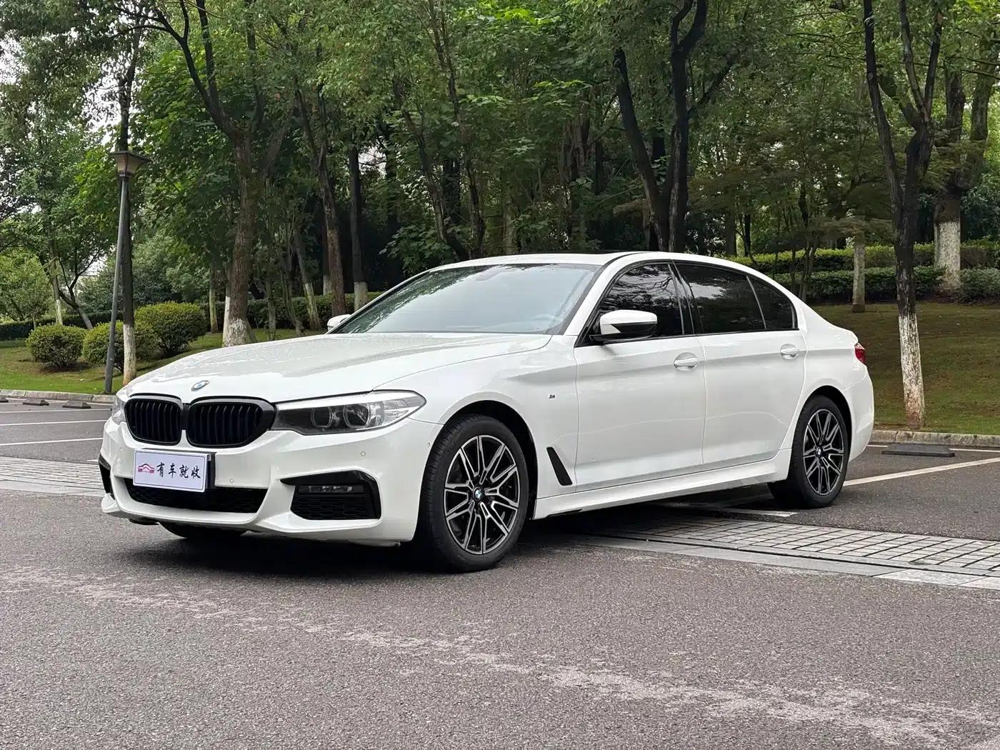 2019 BMW 5 Series 525Li M Sport Package — миниатюра 1