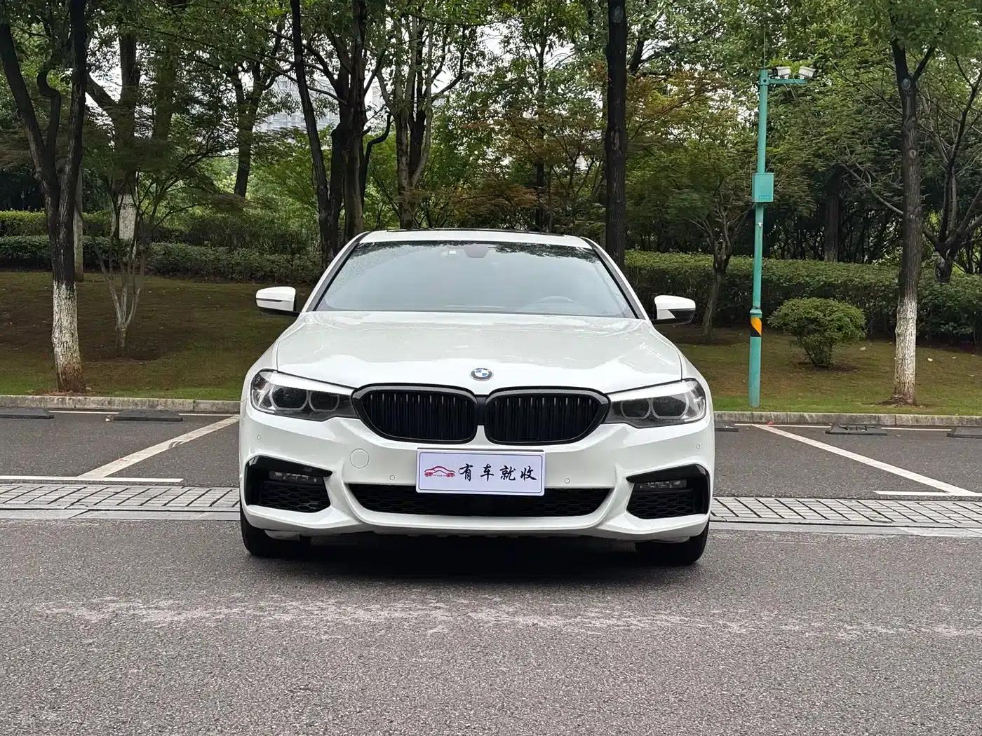 2019 BMW 5 Series 525Li M Sport Package — миниатюра 2