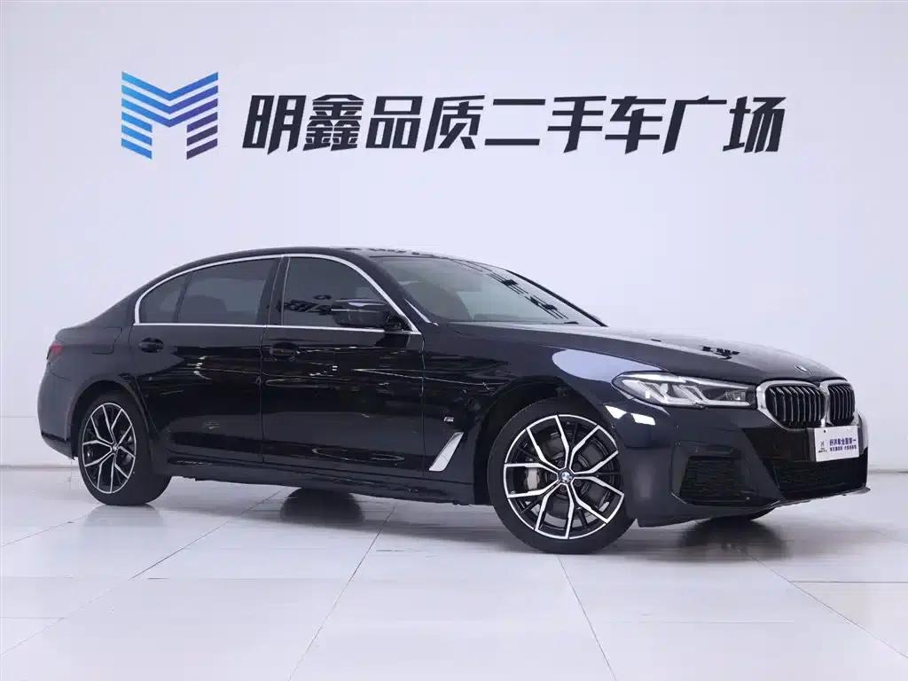 2021 BMW 5 Series 530Li Luxury M Sport Package — миниатюра 5