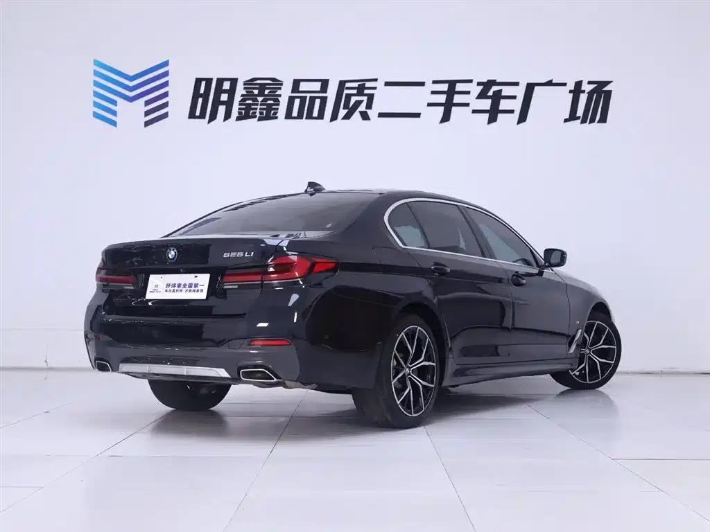 2021 BMW 5 Series 530Li Luxury M Sport Package — миниатюра 7