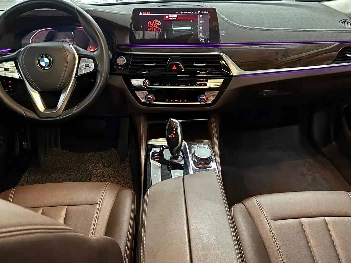 2020 BMW 5 Series 525Li Luxury Package — миниатюра 15