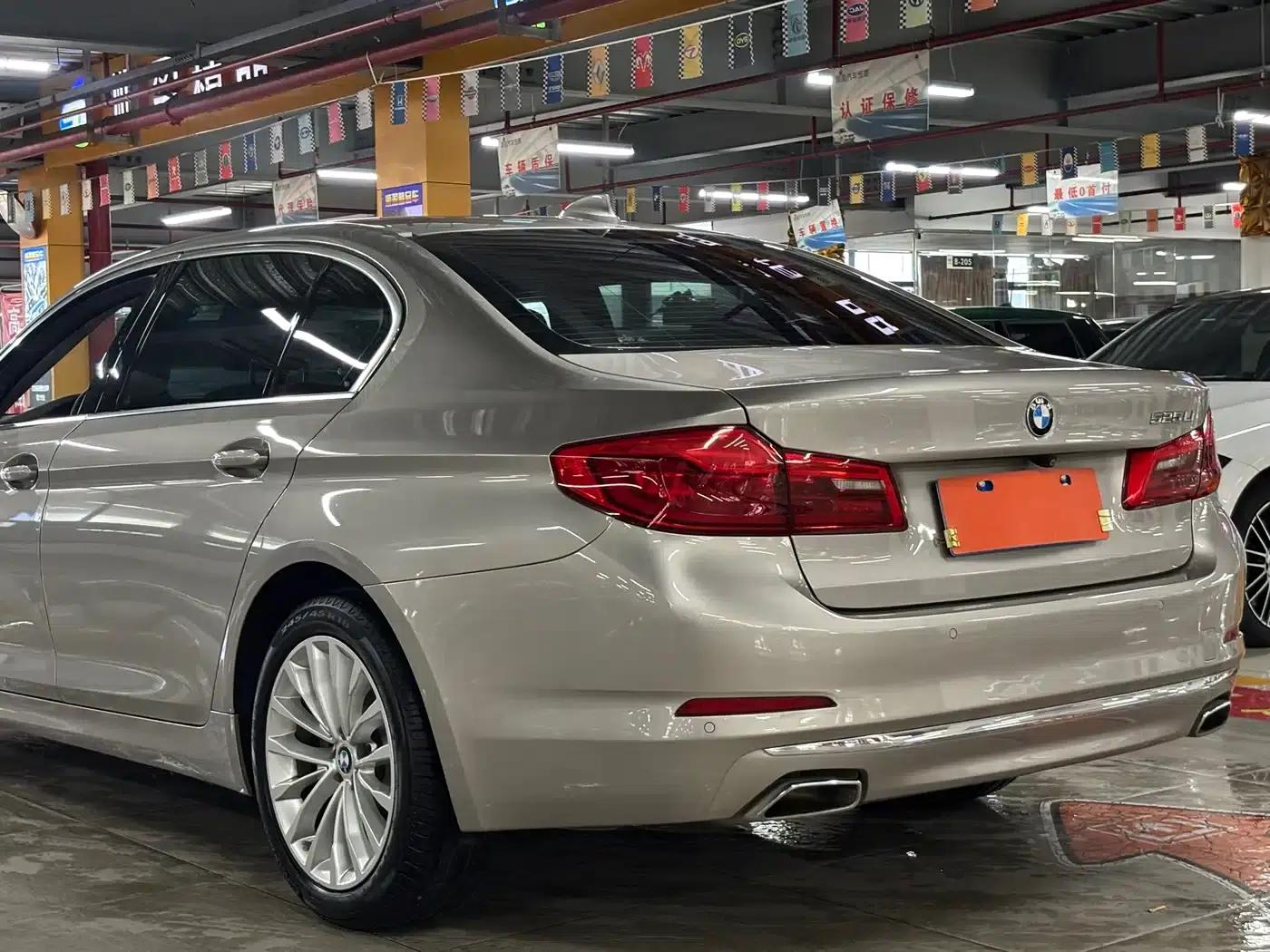 2020 BMW 5 Series 525Li Luxury Package — миниатюра 9