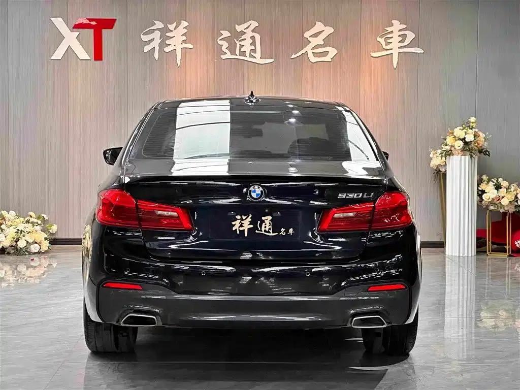2020 BMW 5 Series 530Li Luxury M Sport Package — миниатюра 6