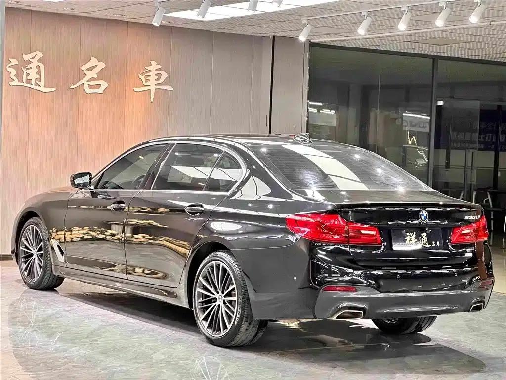 2020 BMW 5 Series 530Li Luxury M Sport Package — миниатюра 7
