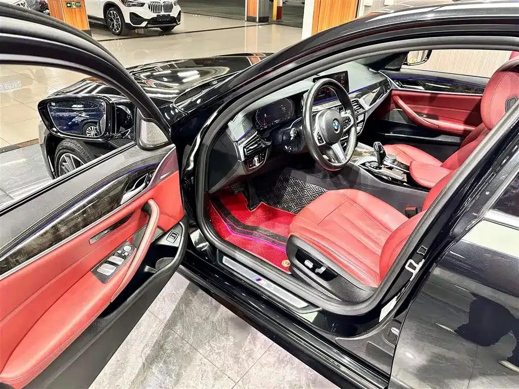 2020 BMW 5 Series 530Li Luxury M Sport Package — миниатюра 8