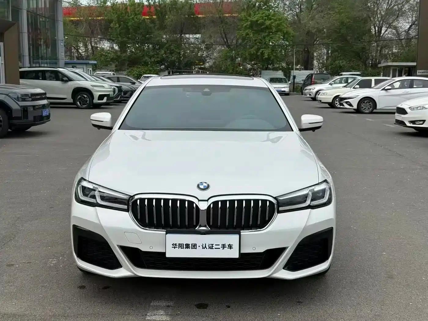 2021 BMW 5 Series 530Li Leading Edition M Sport Package — миниатюра 2