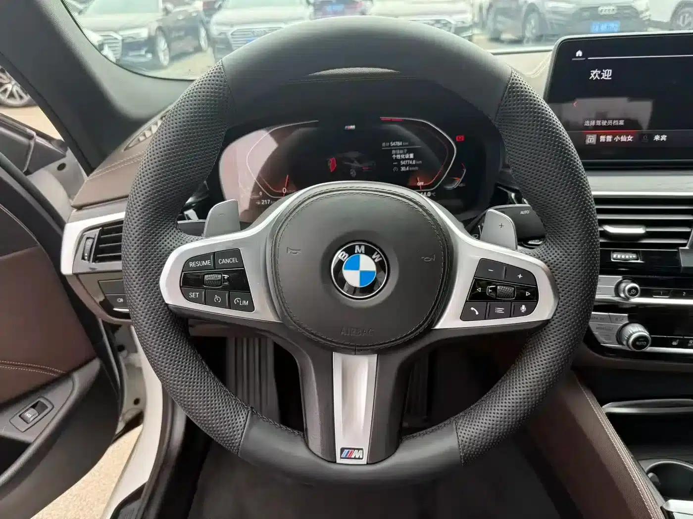 2021 BMW 5 Series 530Li Leading Edition M Sport Package — миниатюра 7