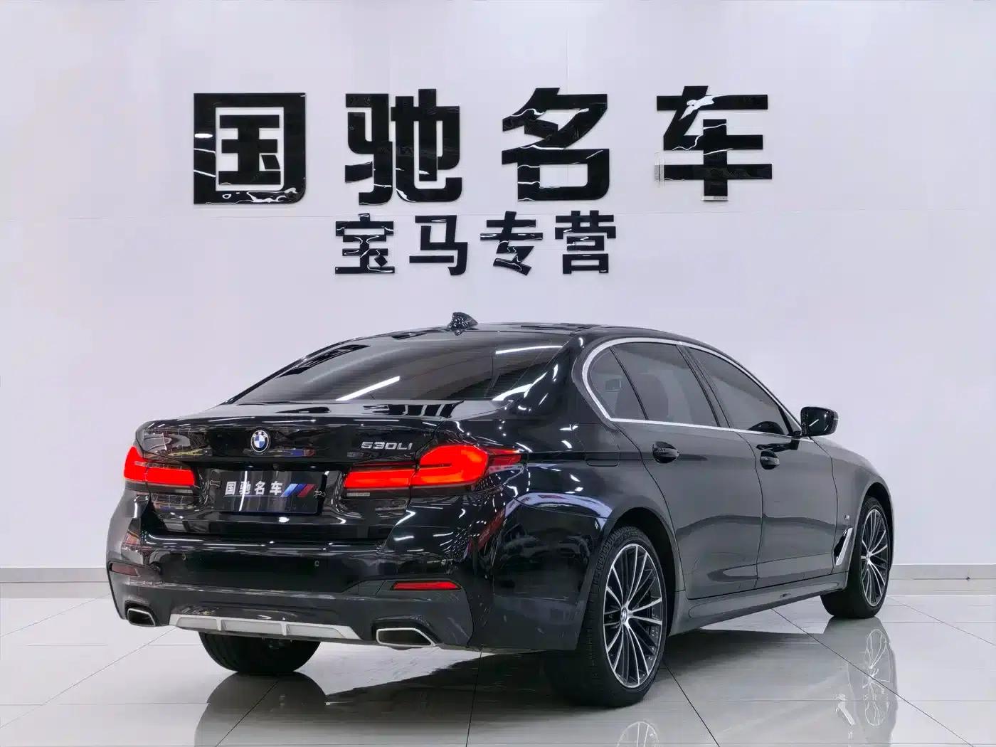 2022 BMW 5 Series 530Li Leading Edition M Sport Package — миниатюра 6